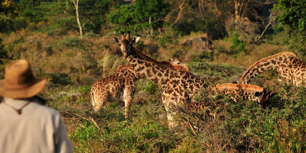 East Africa